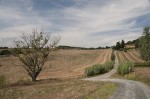 agriturismo economico toscana